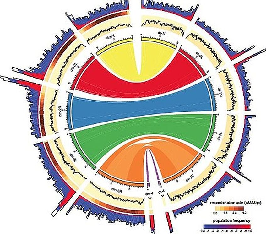 Grafik zum Thema 